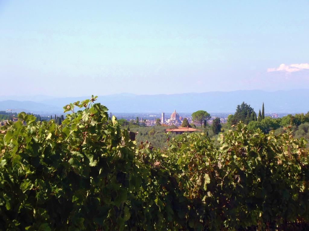 Le Civette Country Resort Bagno a Ripoli Екстериор снимка